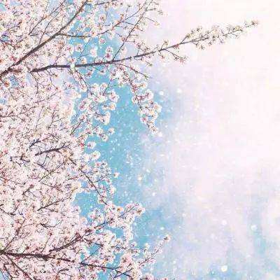 leyu·乐鱼(中国)体育